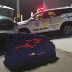 Polícia Rodoviária apreende 167 quilos de maconha após perseguição em Braúna