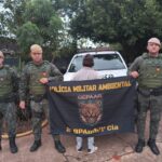 Mulher condenada por maus-tratos a cadela é capturada em Alto Alegre