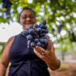 Curso capacita produtores para fortalecer promoção e comercialização no turismo rural
