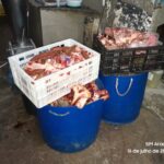 Operação apura denúncia e apreende 2,7 toneladas de produtos de origem animal em Araçatuba